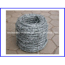 Double Twist Galvanized Razor Barbed Wire, Barbed Wire